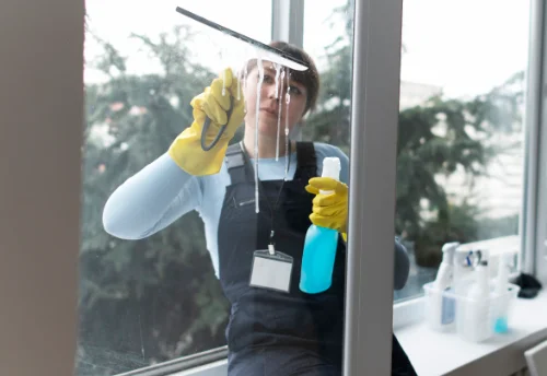 Nettoyage de vitres intérieures et extérieures à Terres de Bord